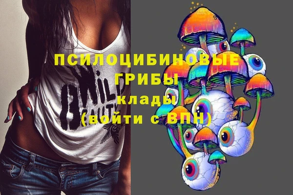 дурь Новозыбков