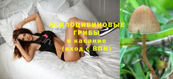 mdpv Арсеньев