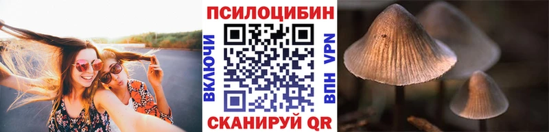 Галлюциногенные грибы Psilocybe  omg маркетплейс  Артёмовск  сколько стоит 